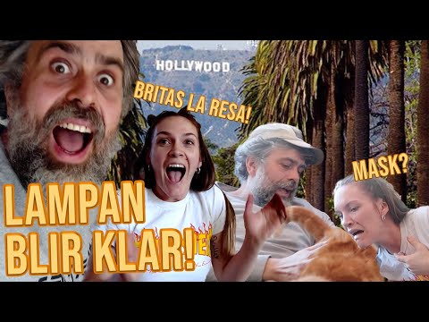 DEL 3: LAMPAN BLIR KLAR - NU BOCKAR VI AV GREJER!