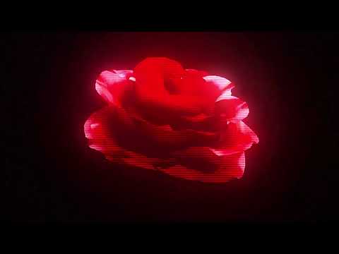 Kumarion - Right Now