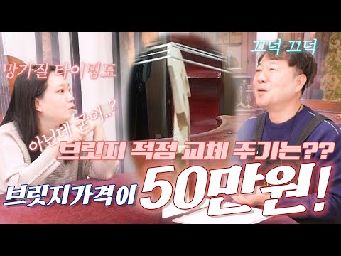 [ENG] EP.106 [서초동 내친구 4탄]악기 제작의 신기술 연마? 브릿지 하나에 50만원?! 악기시장 변화와 제작의 은밀한 비밀! 악기와 관련된 모든 궁금증을 해결해드립니다!