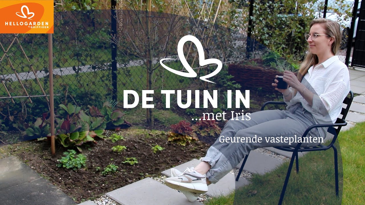 Hello Garden | Geurende vasteplanten