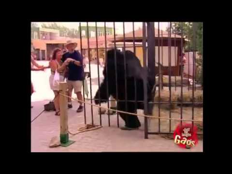 Qesh - kamera e fshehur 2012