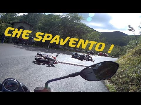 Parassita in un granchio Come sgomberare un organismo di parassiti per mezzo di un assenzio