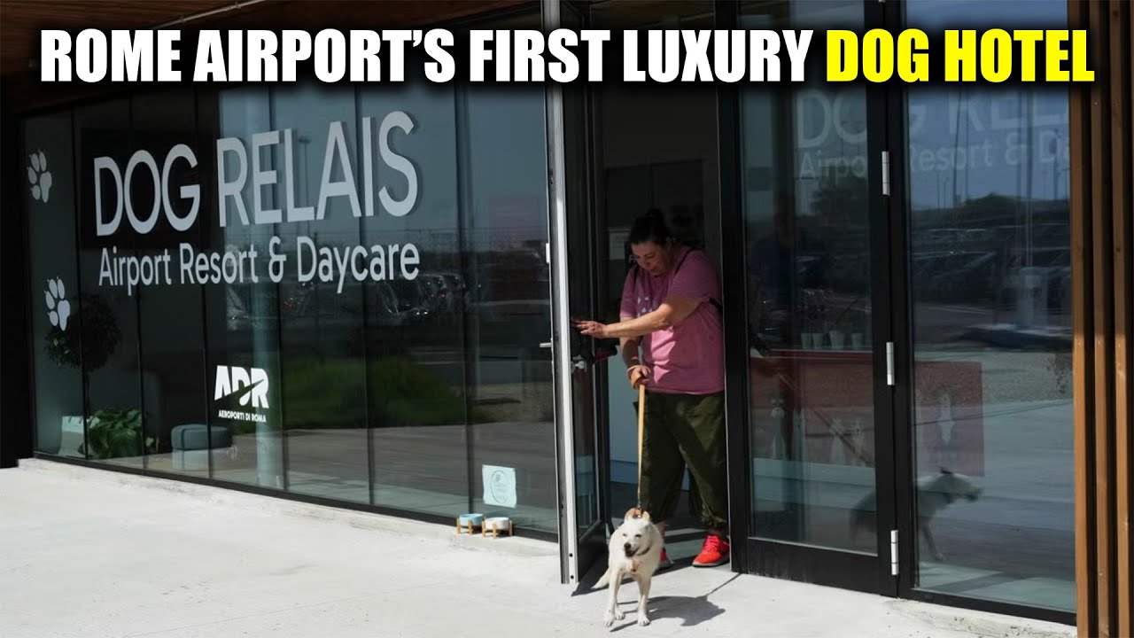 Rome Fiumicino Airport Launches Luxury Dog Hotel Amidst Evolving Pet Travel Regulations