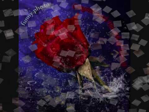 mirko dejan beli.wmv