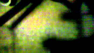 Push Monkey Donkey Kart