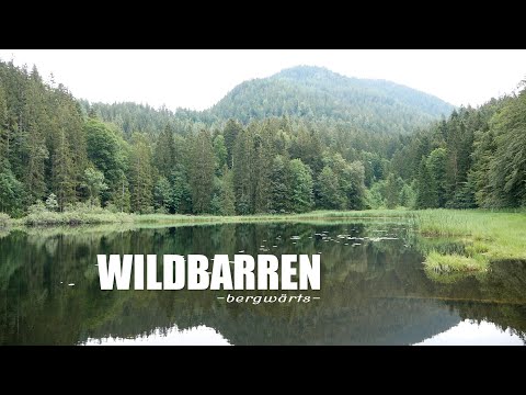 Bergwärts - Wildbarren / Bayrische Voralpen / 1442m
