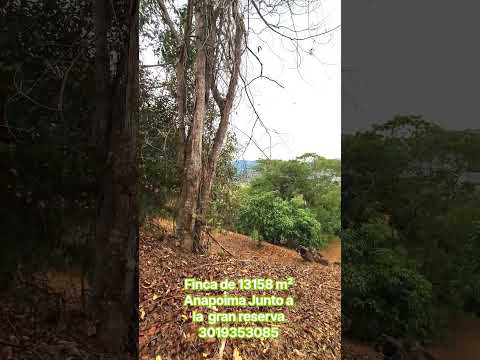 finca de 13158 m² anapoima junto a la gran reserva 3019353085 #anapoima #realestate