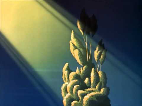 Disney's "Melody Time" - Trees