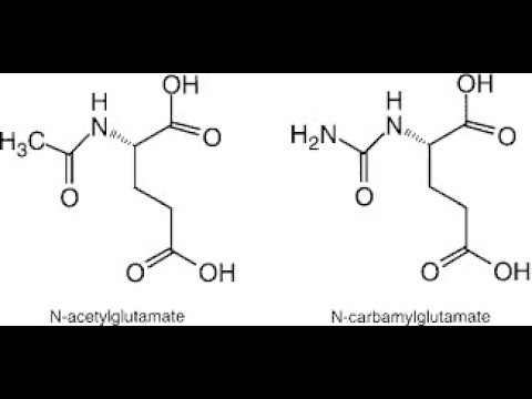 N-acetylglutamate (NAG) Powder