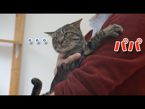 娘からパパにバトンタッチ♪露骨過ぎる反応が面白い！笑【すずとコテツ】