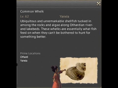 FFXIV Stormblood Fishing Leves Perhaps Not So Common