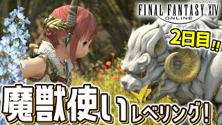 【FF14/Meteor】魔獣使いレベリング！｜ときどきモグコレ？｜黄金7.56｜配信78日目｜※ネタバレ注意