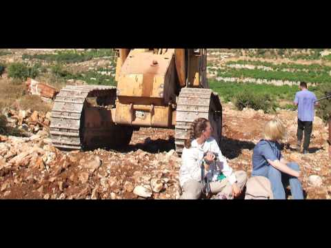 Introduction to Meta Peace Team