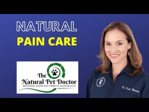 How to use natural pain remedies for holistic pet care