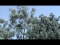 Matt Bauer live session for Terroreyes.tv