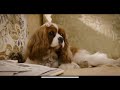 Underdog 2007 Full Movie