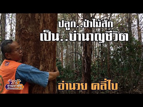 คลิกเพื่อดูคลิปวิดีโอ