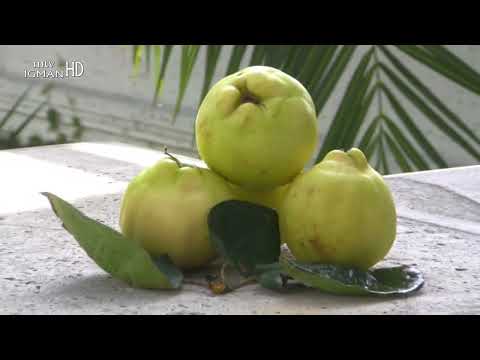 DUNJA KAO LIJEK ZA...,POSLANIKOVA s.a.v.s. MEDICINA