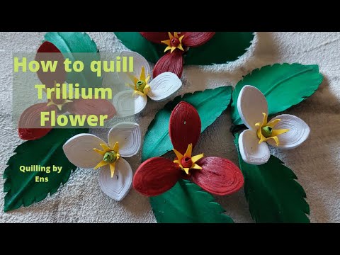How to quill Trillium Flowers || #quilling #quillingart #quillingflowers #quillingcrafts #diy