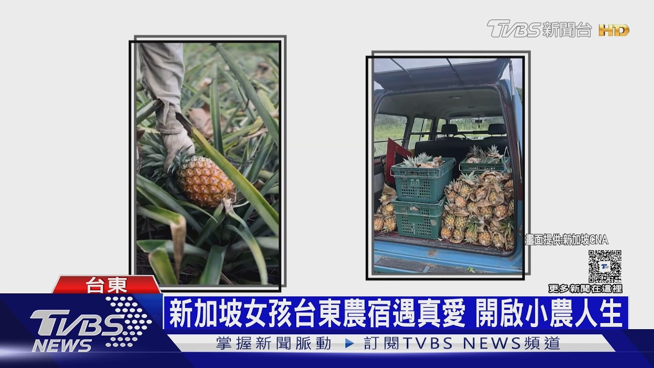 影音/厭世OL變「鳳梨妹」! 新加坡女移居臺東 務農8年找回快樂