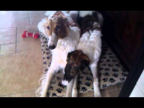 Milayka en Ekaterina, best friends