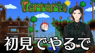 Terraria初見配信