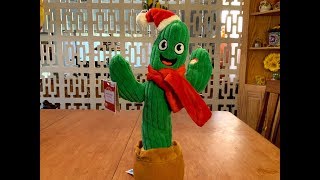 Animated Holiday Cactus
