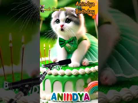 ANINDYA BIRTHDAY | HAPPY BIRTHDAY SONG WITH NAMES | Adorable Cute Cat 😺 #shabnam #birthday