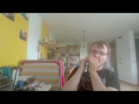 Kurzer Happen mit Verstärker   Short amplified bite ep 2 #shorts @TomlinHarmonica