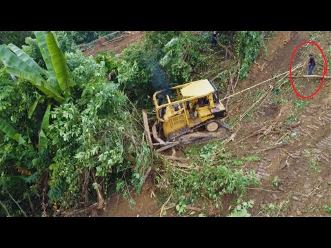 The CAT D6R XL Opening a Forest into a Plantation, Dozer Working in The Mountain