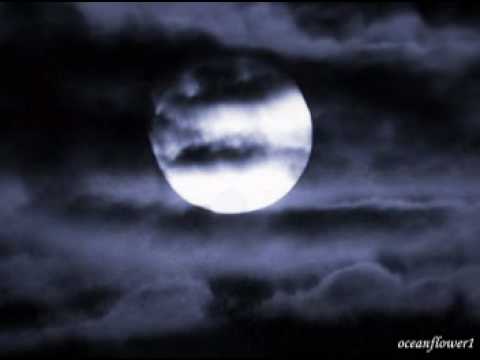 OMAR AKRAM  - Whispers in the moonlight