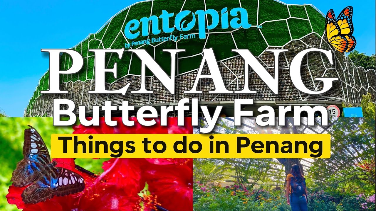 Explore the enticing Butterfly Farm in Penang and experience the magic of nature's true beauty