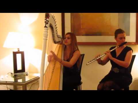 Skyfall on Harp and Flute