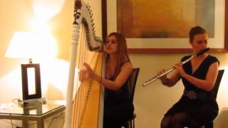 Skyfall on Harp and Flute
