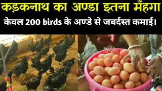 कड़कनाथ अण्डा फार्मिंग | kadaknath egg farming | kadaknath egg price | kadaknath farming up India,