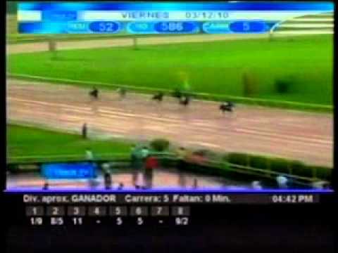 Resumen Viernes, 03 de Diciembre de 2010 - Valencia