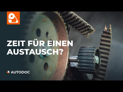 5 Anzeichen für einen verschlissenen Zahnriemen | Tipps von AUTODOC