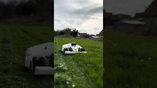 Video Of The Day| LUBA 2 Mowing Like a Beast!