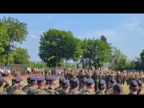 Tag der Bundeswehr. Gelöbnis am 17.06.2023 in Bruchsal