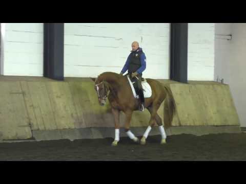 Wallach von Bretton Woods