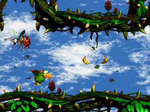 Donkey Kong Country 2 102% V - Animal Tactics