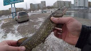 Рыбалка на абаканской протоке о рыбалке