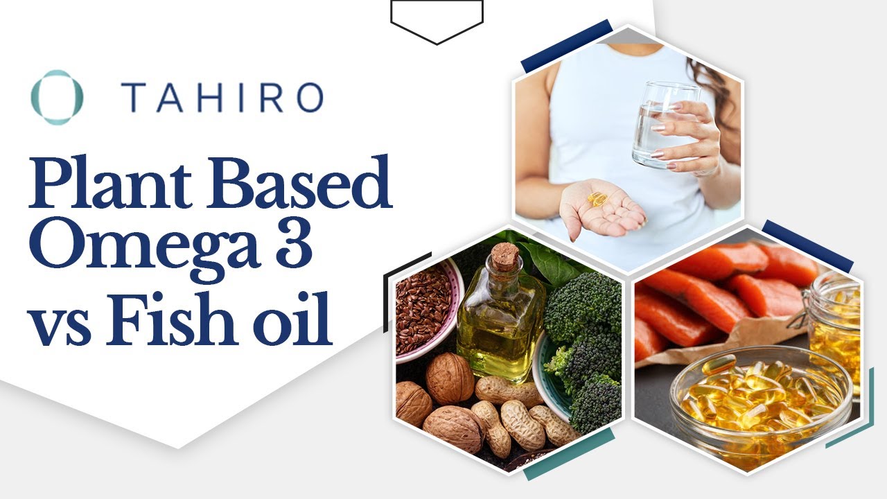 Plant Based Omega 3 Vs Fish Oil - Which One Is Better?