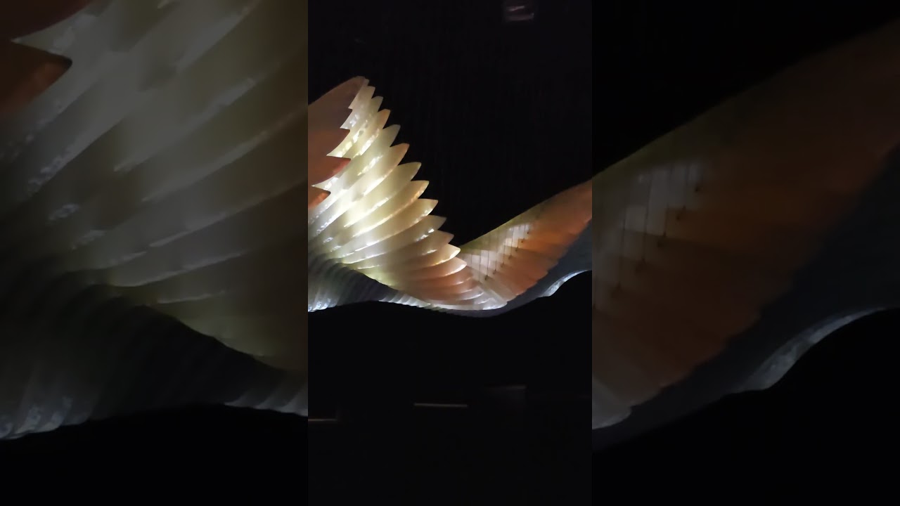 YouTube Short thumbnail