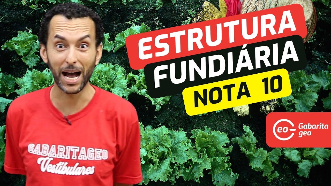 ESTRUTURA FUNDIÁRIA NO BRASIL | GEOGRAFIA | PARA CONSEGUIR NOTA MÁXIMA |