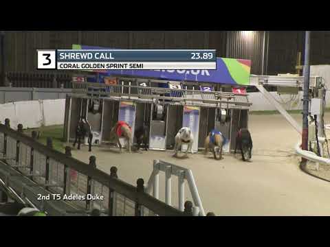 2021 CORAL GOLDEN SPRINT - 2ND SEMI - T3 SHREWD CALL