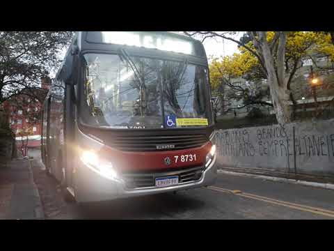 Caio Apache Vip IV midi Alongado VW 17-230 ODS