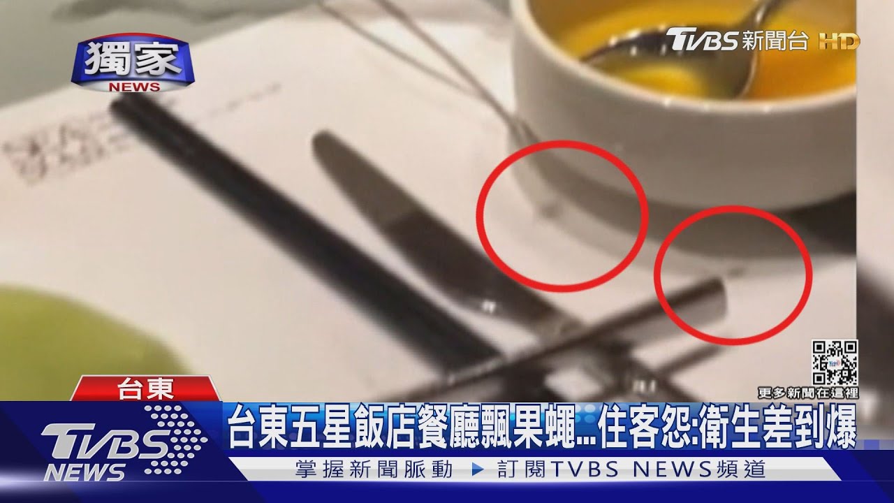 飄果蠅的餐廳是五星飯店? 教你真正的「星等」怎看