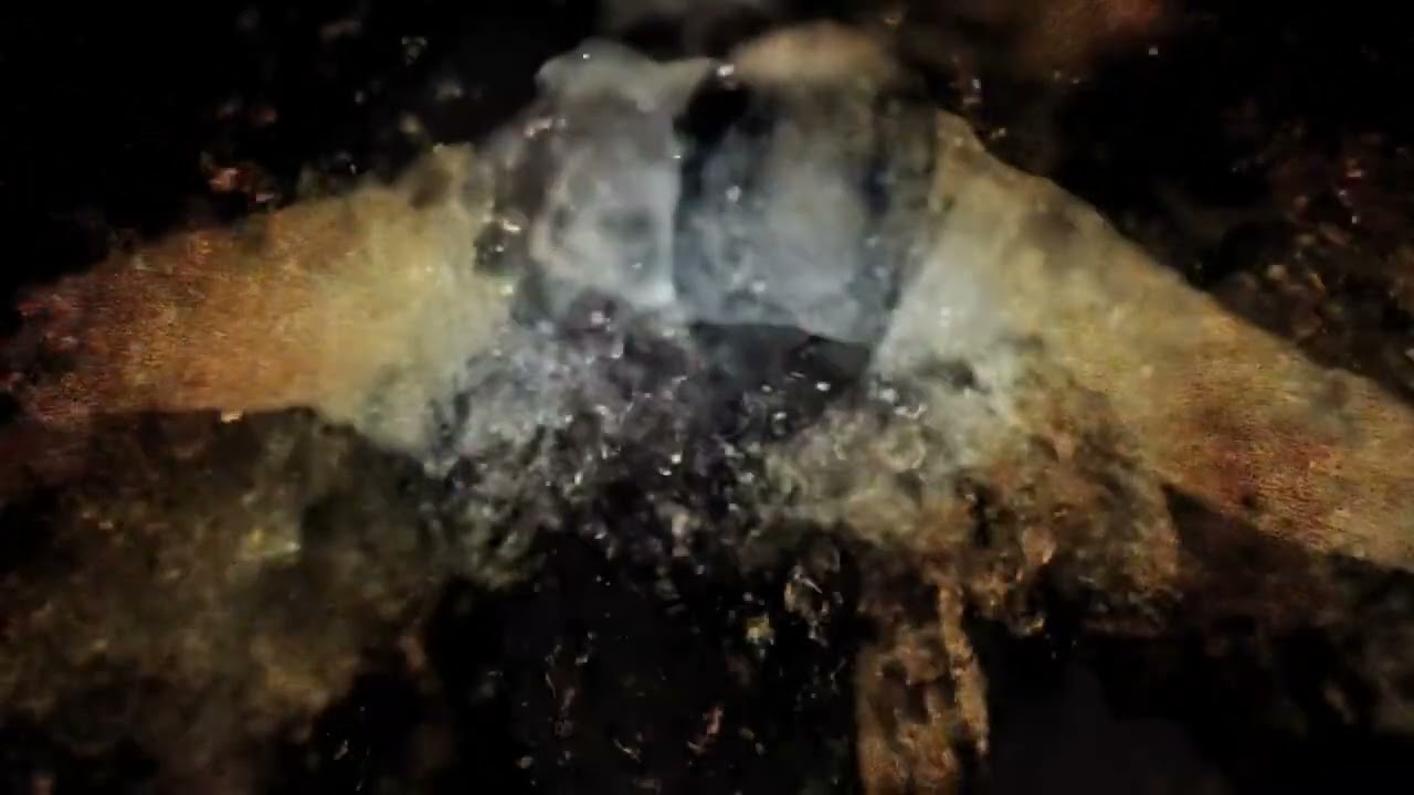 Misericorde (Natasa Prosenc Stearns) Sight and Sound BLOC @ MoMi Redstone 4/26/24 4:15pm