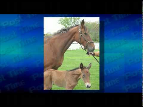 Moni Maker Has a Son!